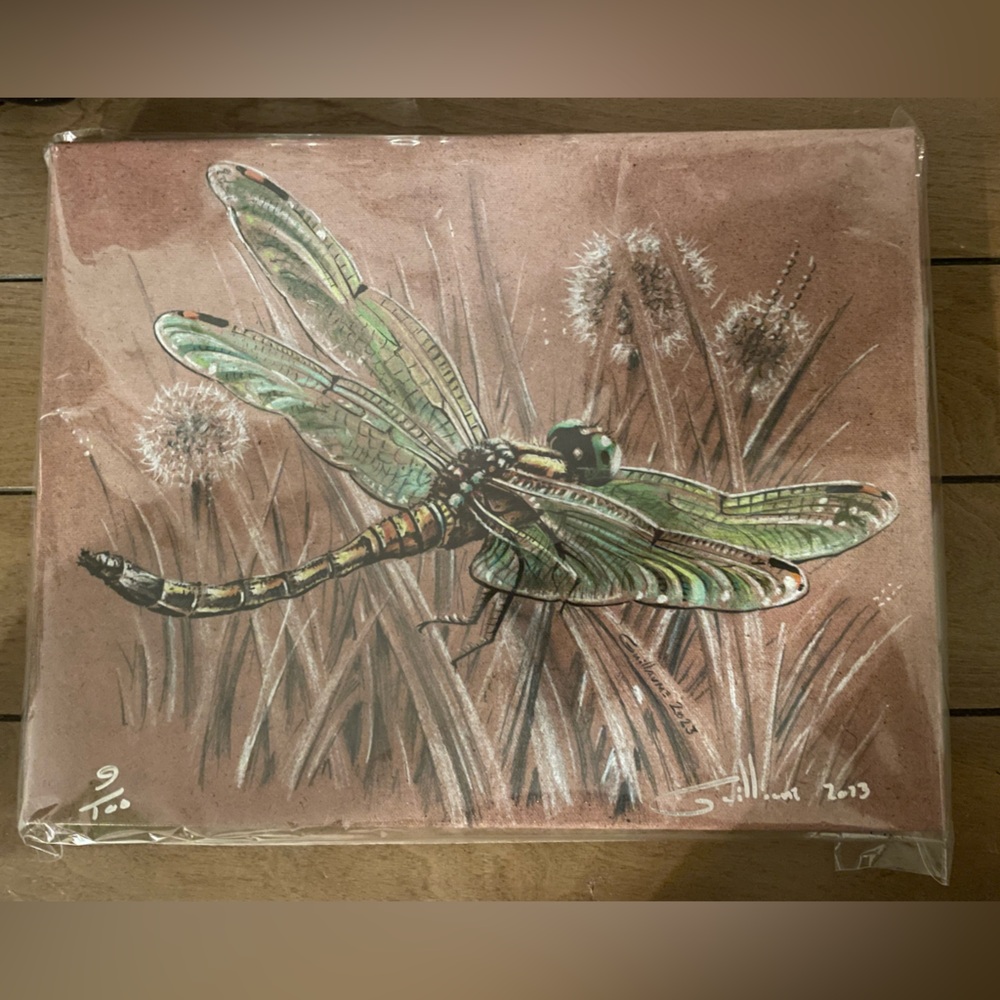 Dragonfly Art Print